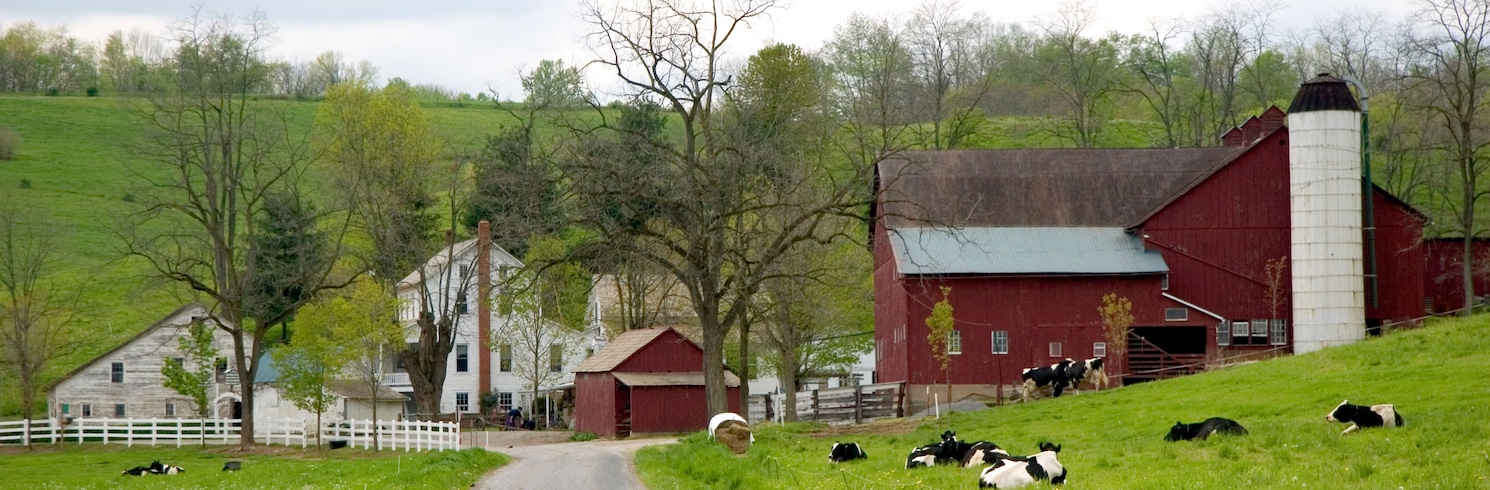 Condado Amish, Ohio, Estados Unidos