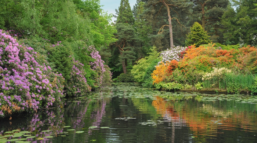 Tatton Park, Knutsford, England, United Kingdom
