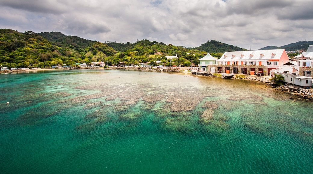Roatan, Bay Islands, Honduras