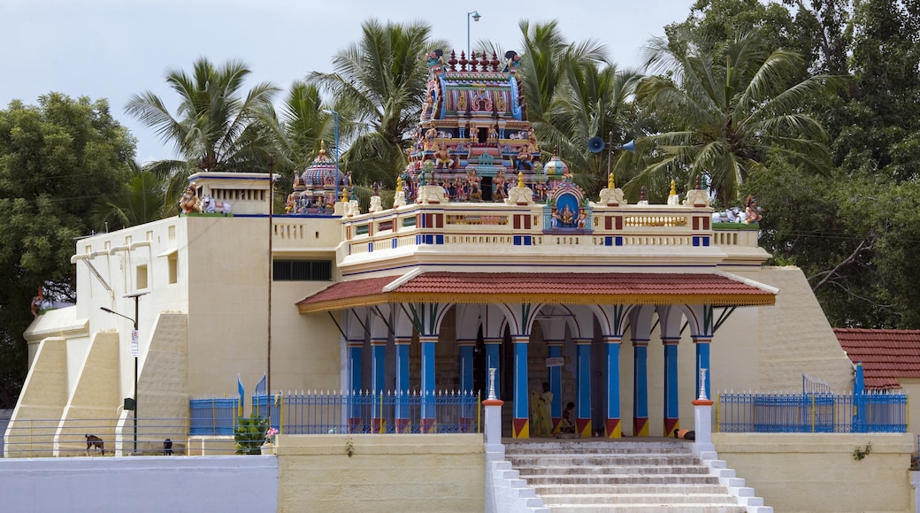 Karaikudi, Tamil Nadu, India