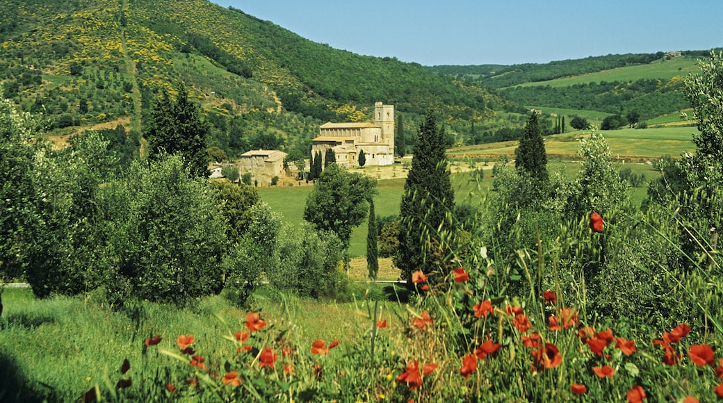 Brunello di Montalcino vindistrikt, Toscana, Italia