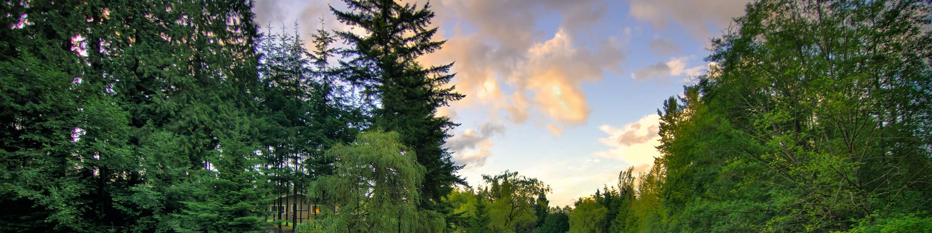 Bothell, Washington, Birleşik Devletler