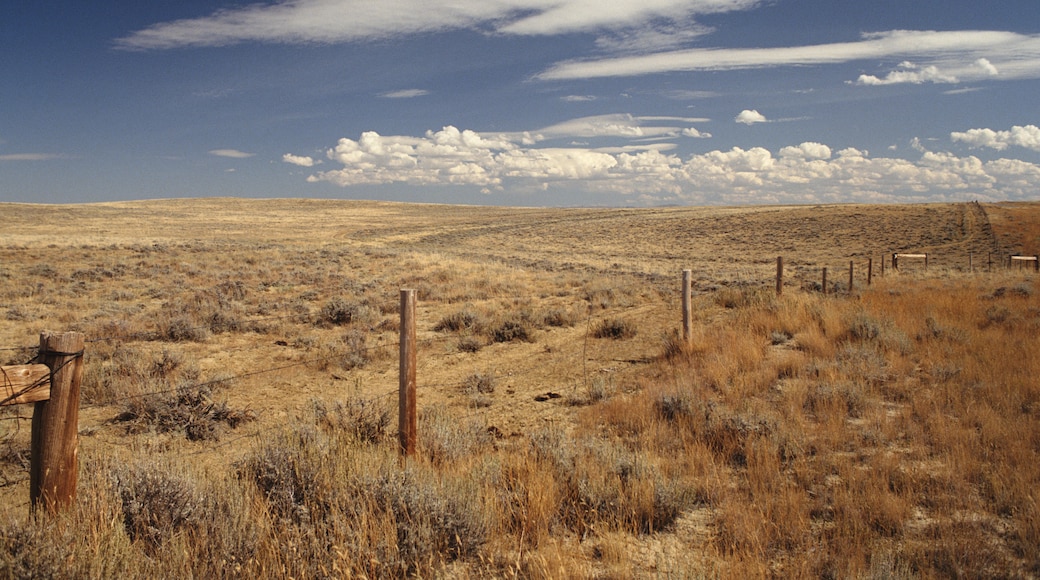 Cheyenne, Wyoming, United States of America