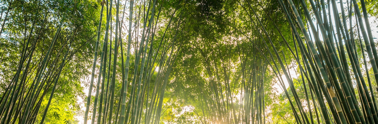 Chengdu, Kiina