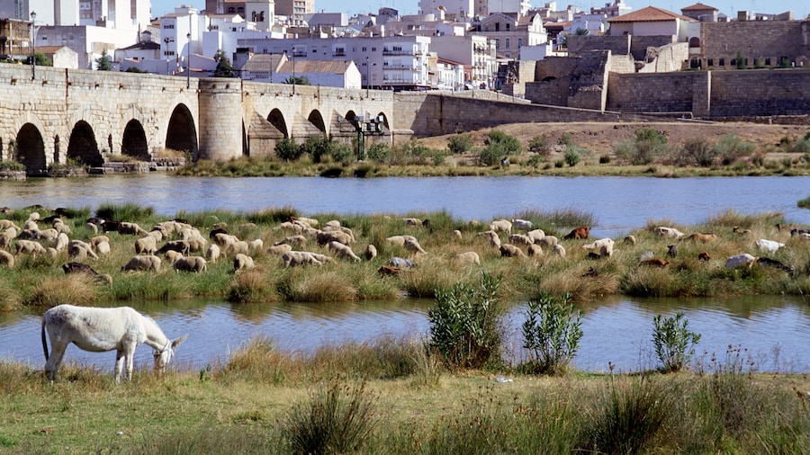 Ponte Romana