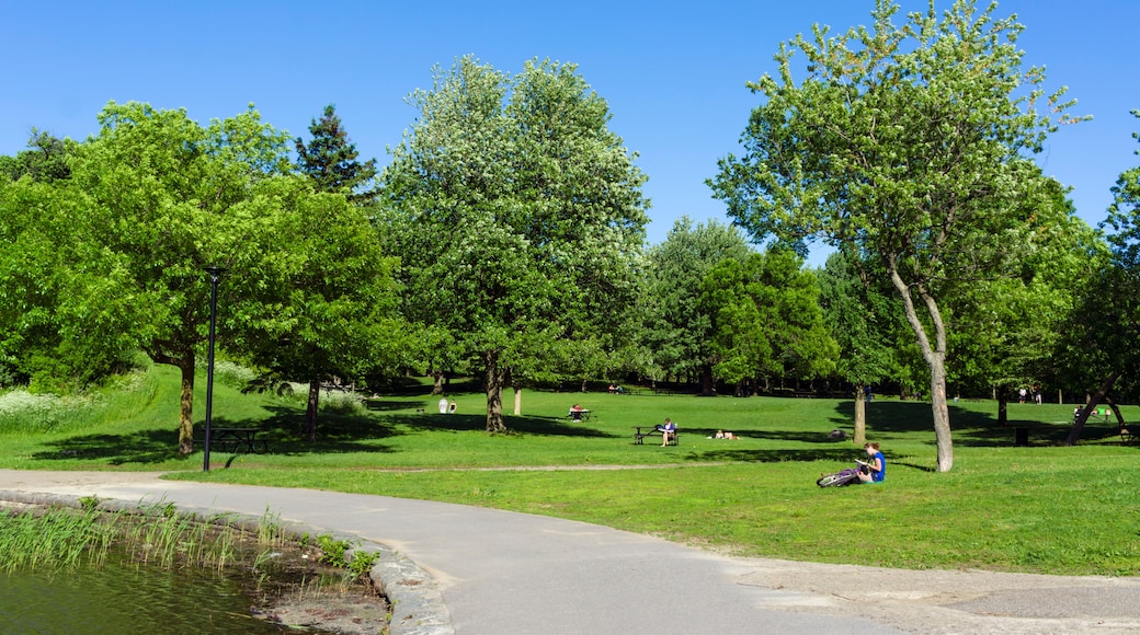 Parc du Mont-Royal, Montréal, Québec, Canada