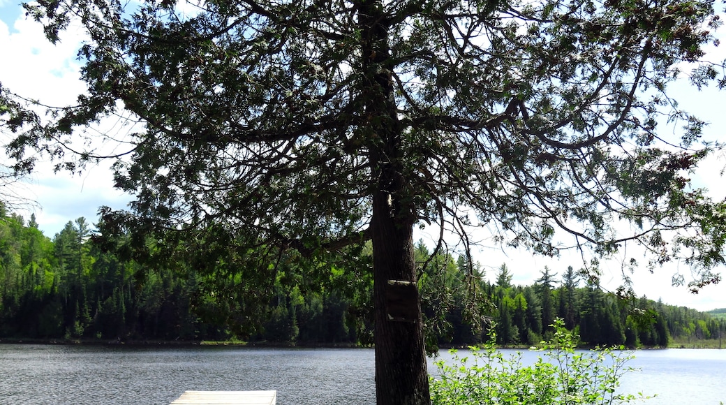 Madawaska Valley