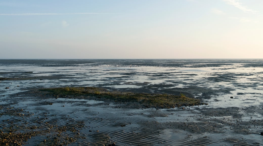 Nationalpark Schleswig-Holsteinisches Wattenmeer