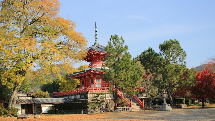 Temple Daikaku-ji