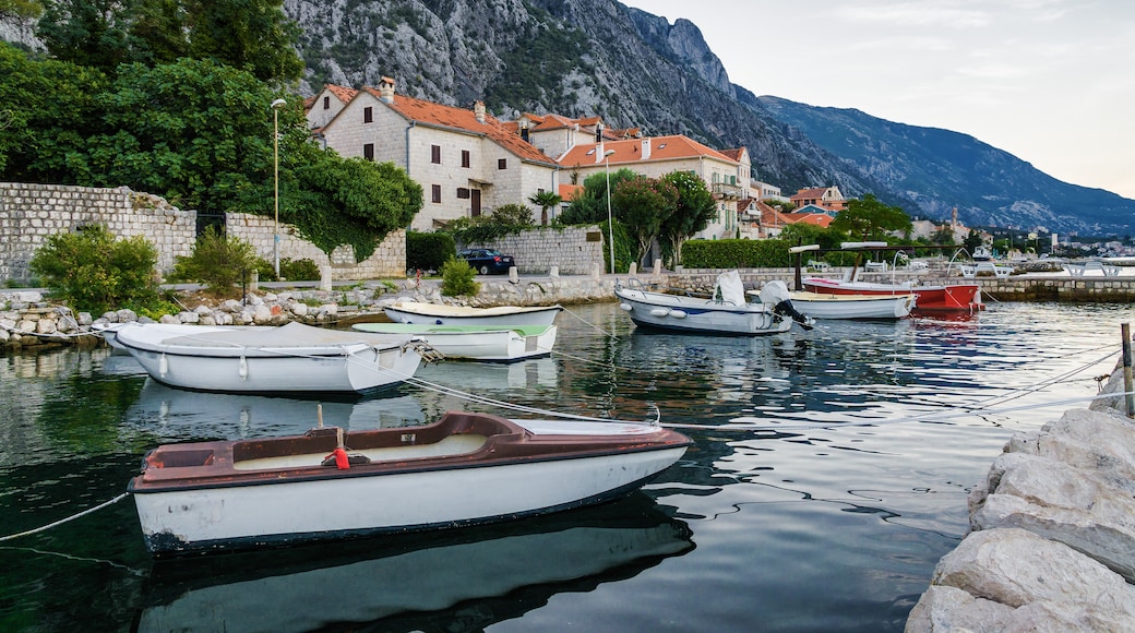 Dobrota, Kotor, Kotor Municipality, Montenegro