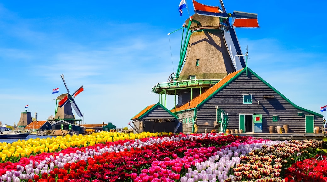 Zaandam, Bắc Holland, Hà Lan