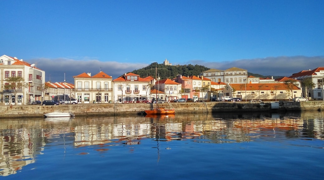 Viana do Castelo Bezirk