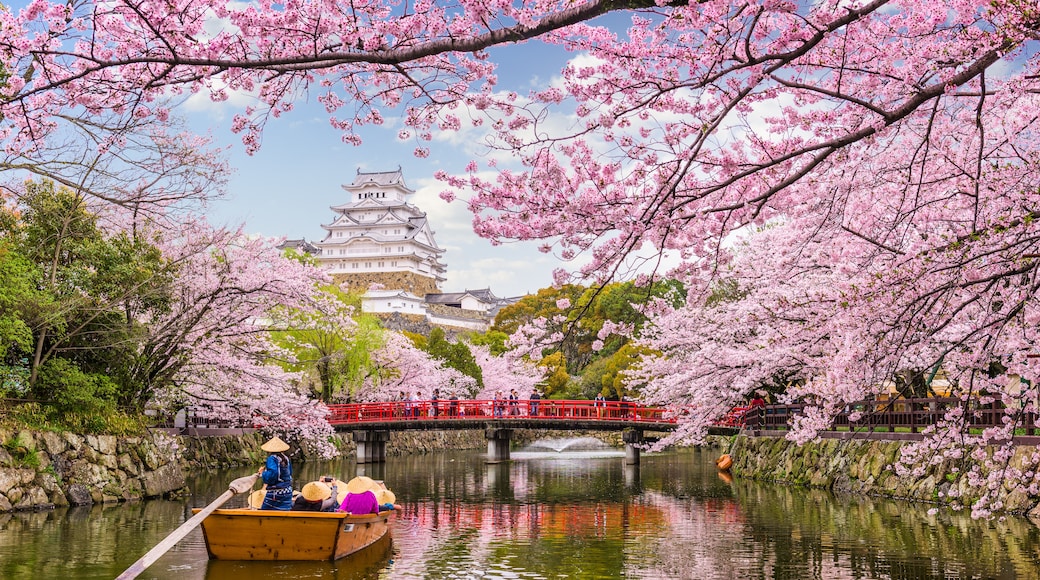 Castillo Himeji