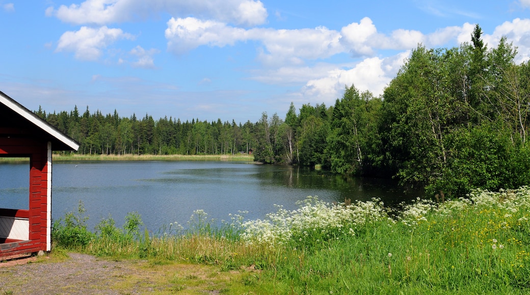 芬蘭北部, 芬蘭