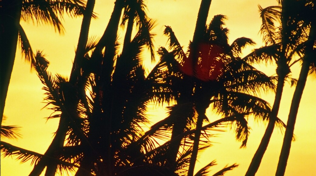 Anaehoomalu Beach