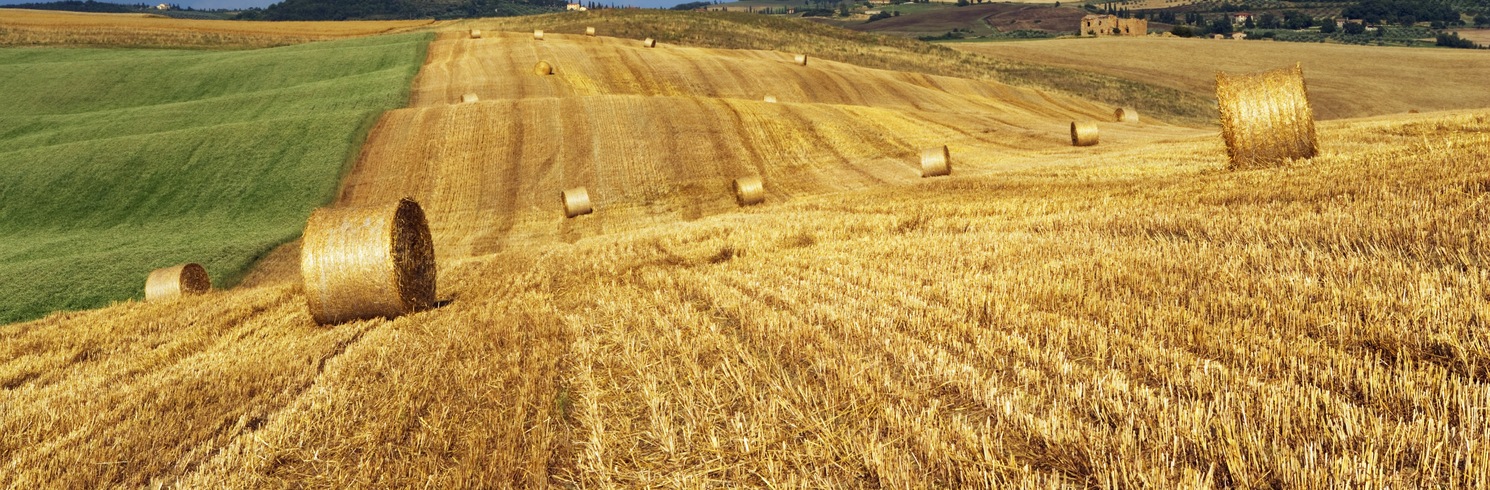 Siena, Italy