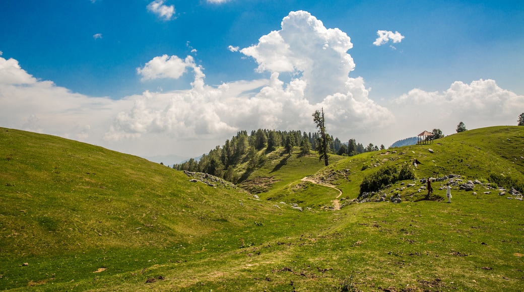 Nathia Gali