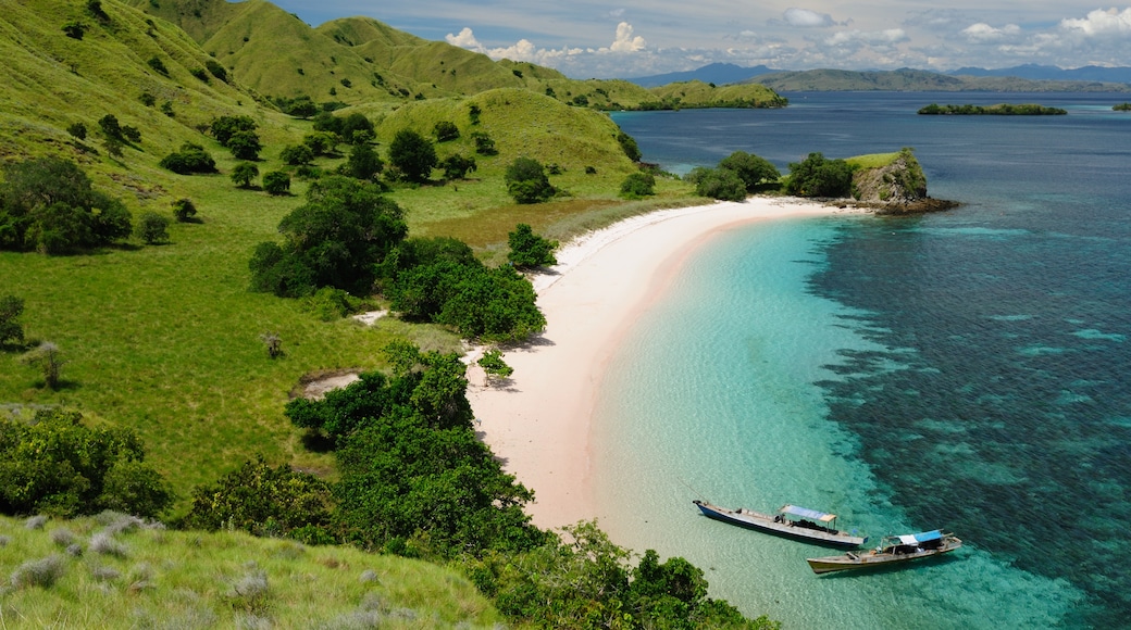 Parque Nacional de Komodo