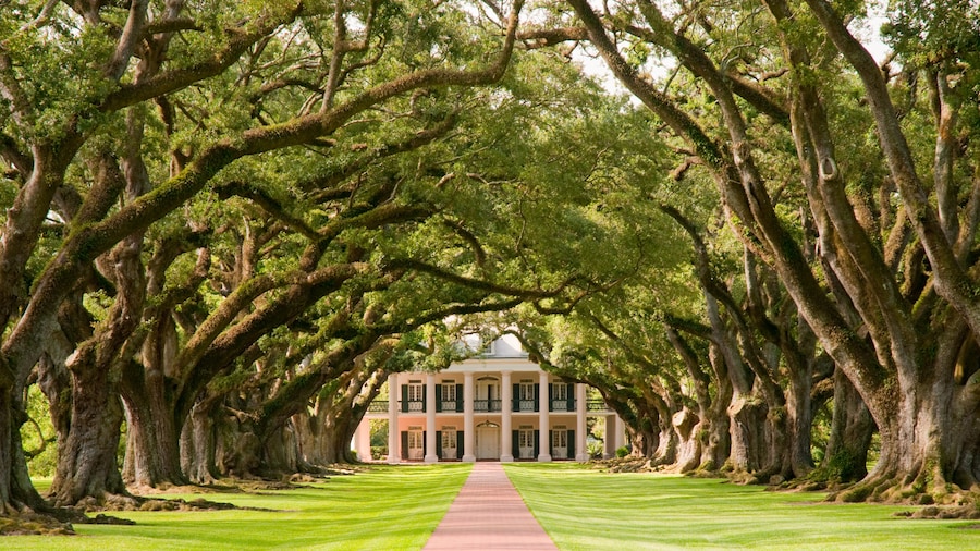 Plantación Oak Alley