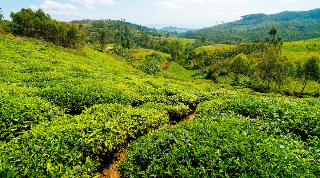 Rwanda