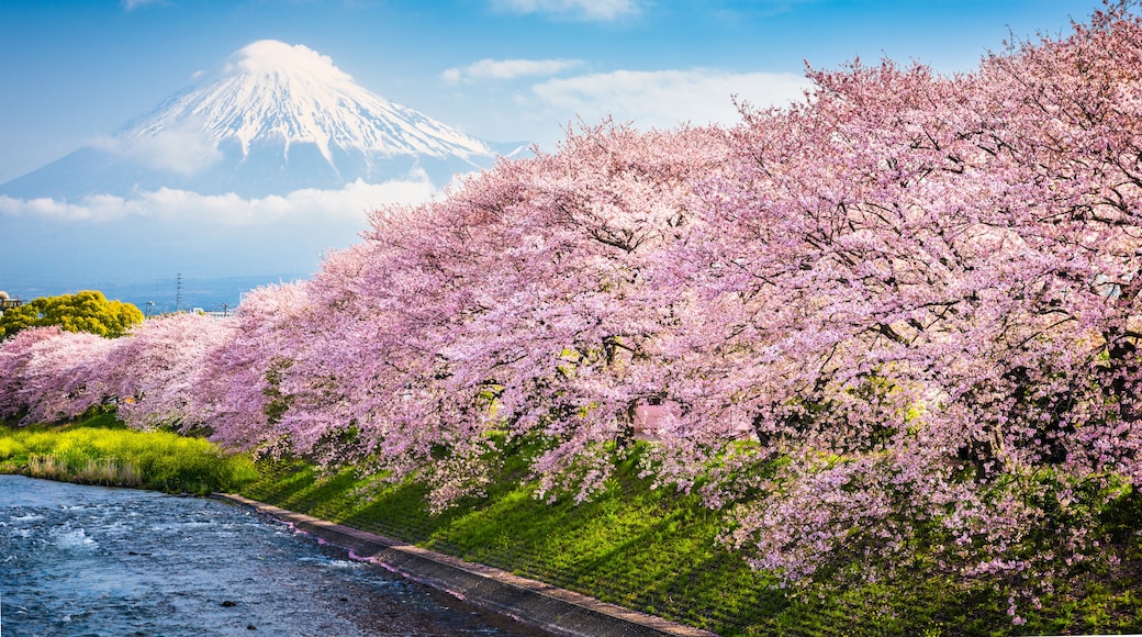 小山