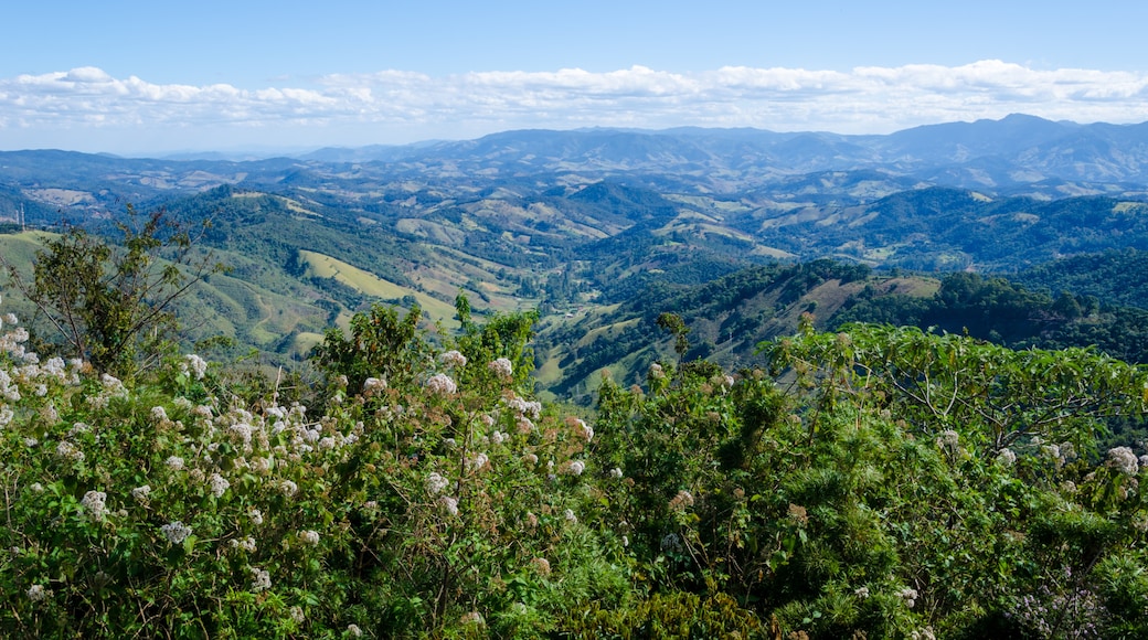 Centrala Campos do Jordao