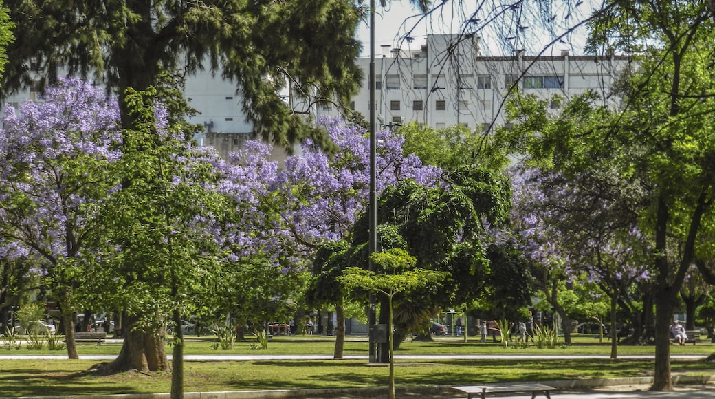 Bahia Blanca