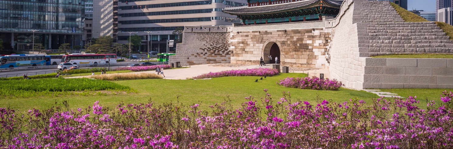 서울, 한국