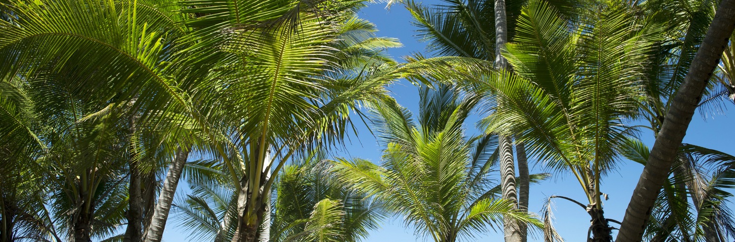 Cardwell, Queensland, Australia