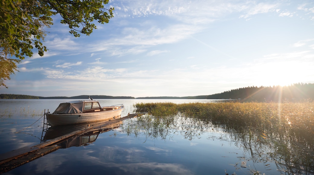 Saimaan järvi, Etelä-Savo, Suomi