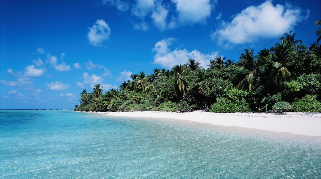 Kuredu-sziget, Lhaviyani-atoll, Maldív-szigetek