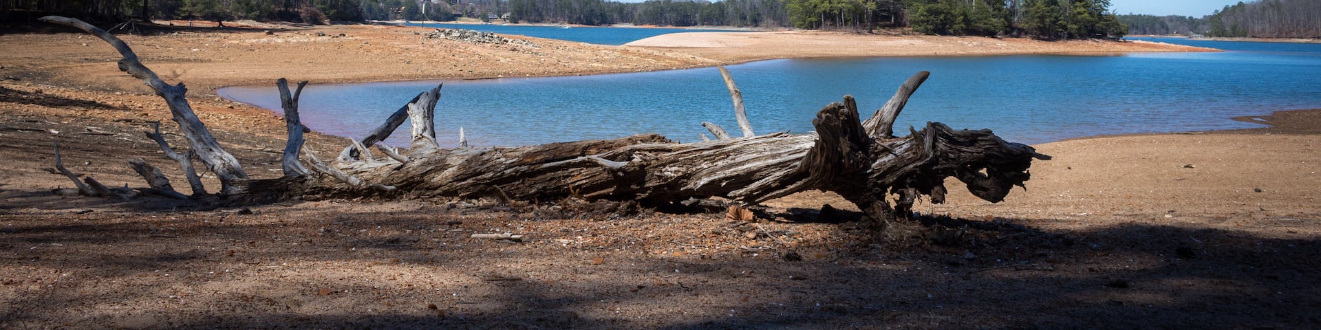 Flowery Branch, Georgia, United States of America