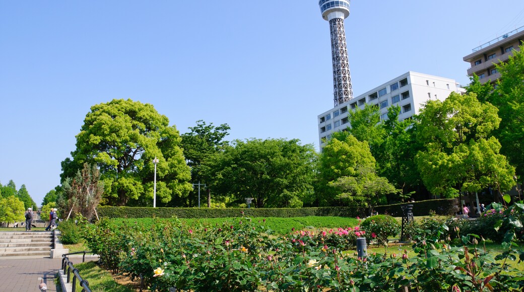 Yamashita Park, Yokohama, Kanagawa (Präfektur), Japan