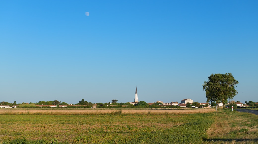 Ile de Ré