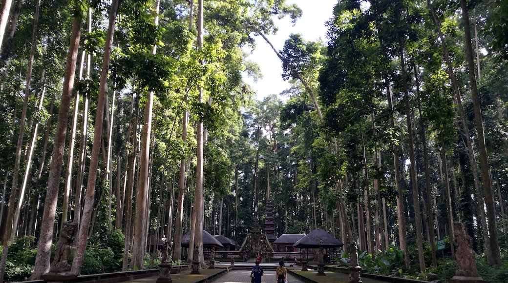 Foresta delle scimmie di Sangeh