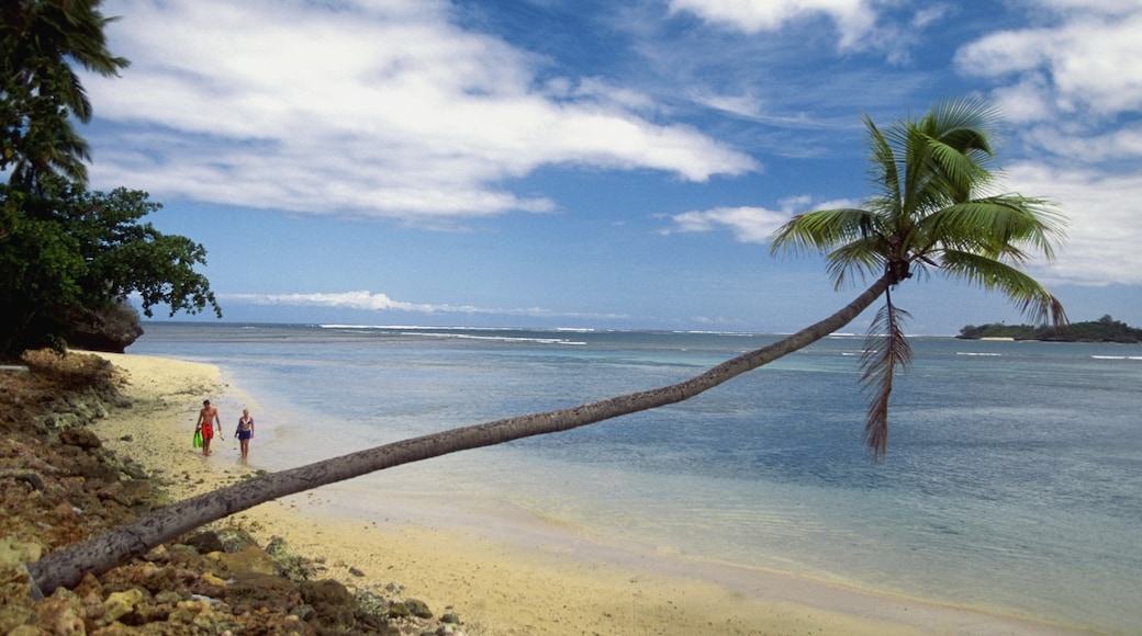 楠迪, 西部大區, 斐濟