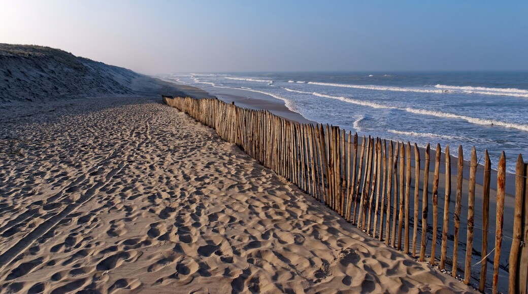 Médoc Natural Regional Park