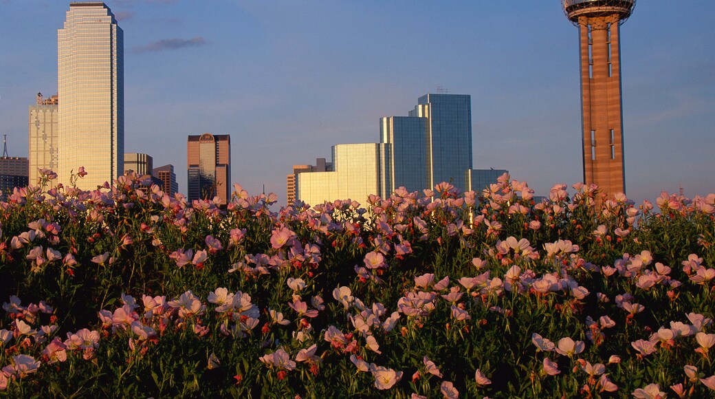 Reunion-torony, Dallas, Texas, Egyesült Államok