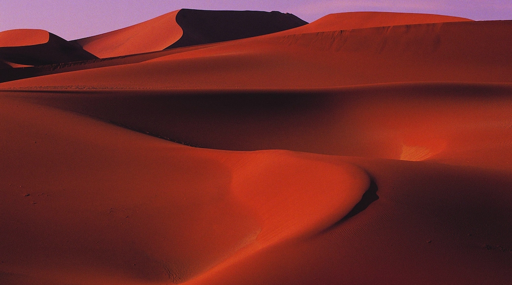 Kalahari Red Dunes, Mariental, Hardap Region, Namibia