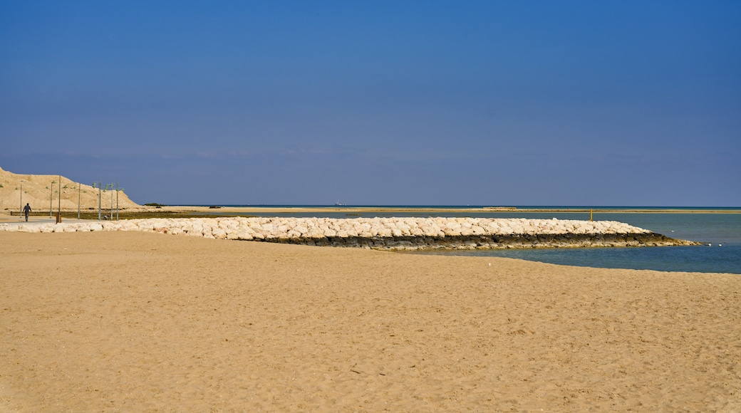 Strand van Al Wakrah