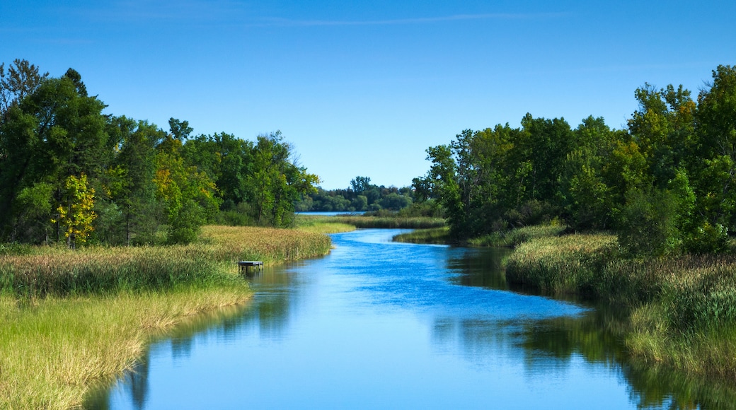 Bemidji