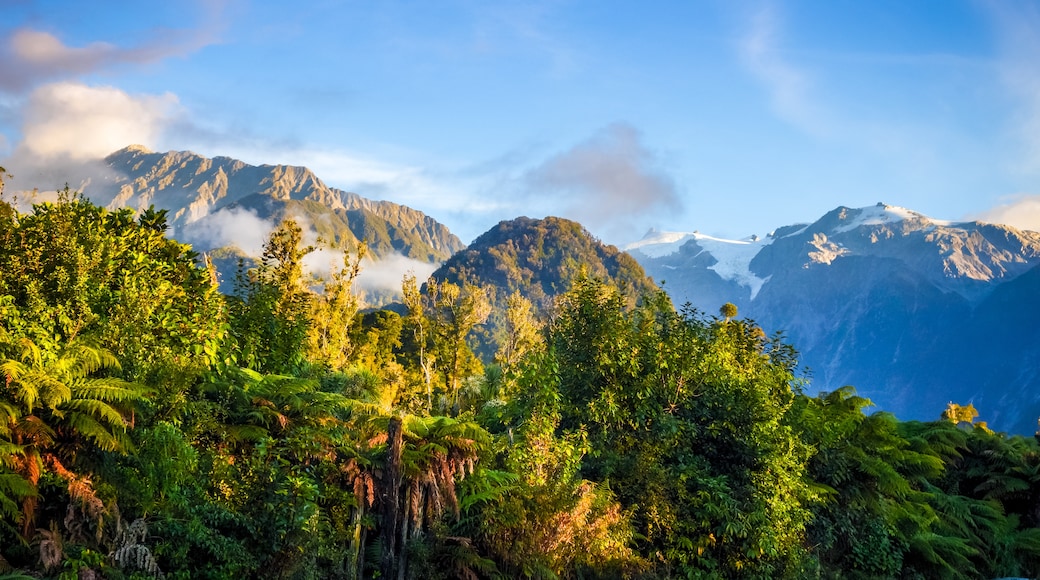 Ghiacciaio Franz Josef