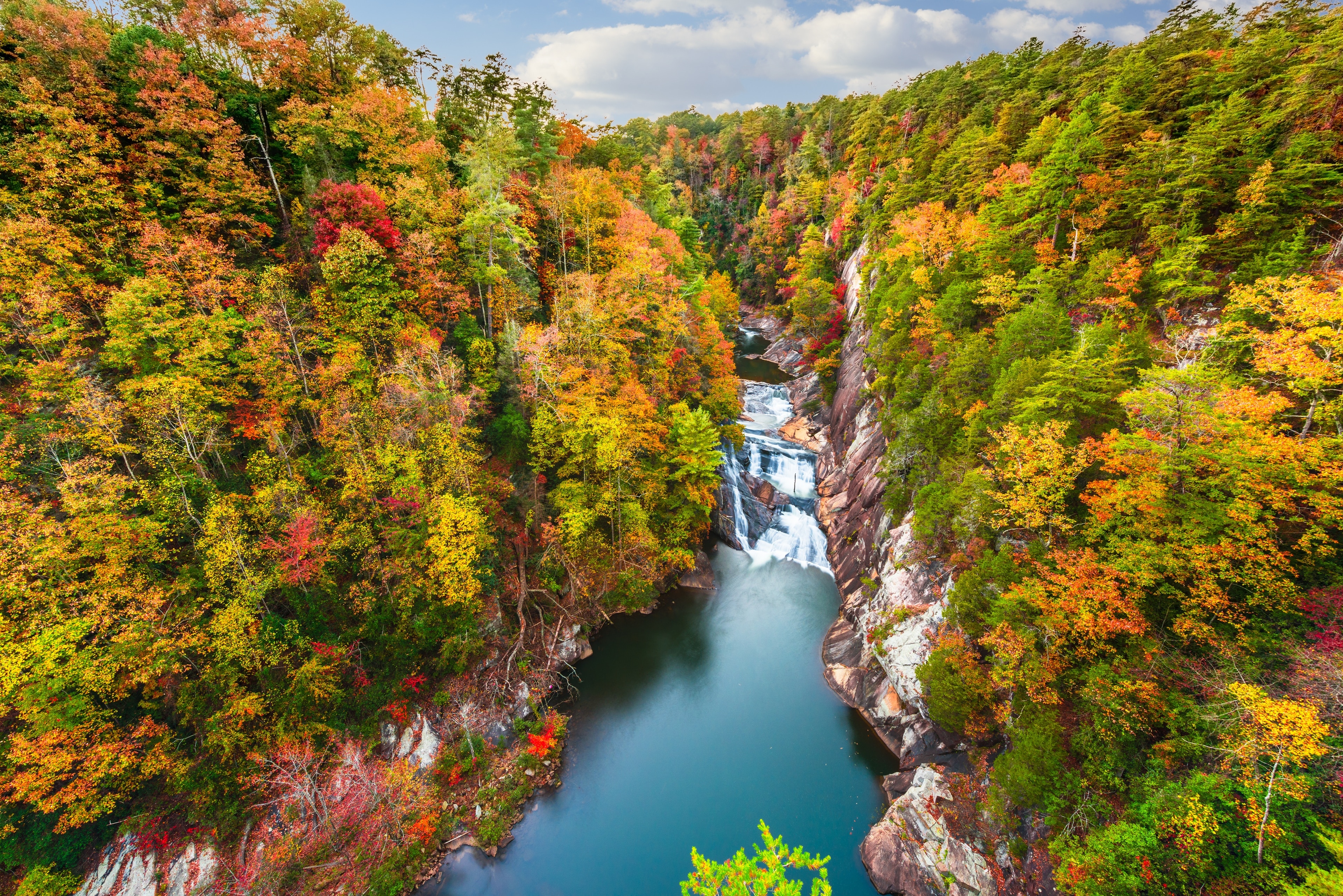 North Georgia Wildlife Guide, Blue Ridge Mountains