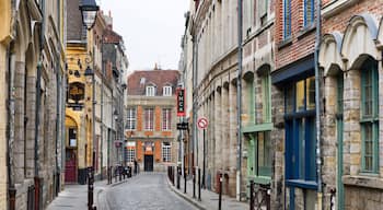 Centro storico di Lille, Lilla, Nord, Francia