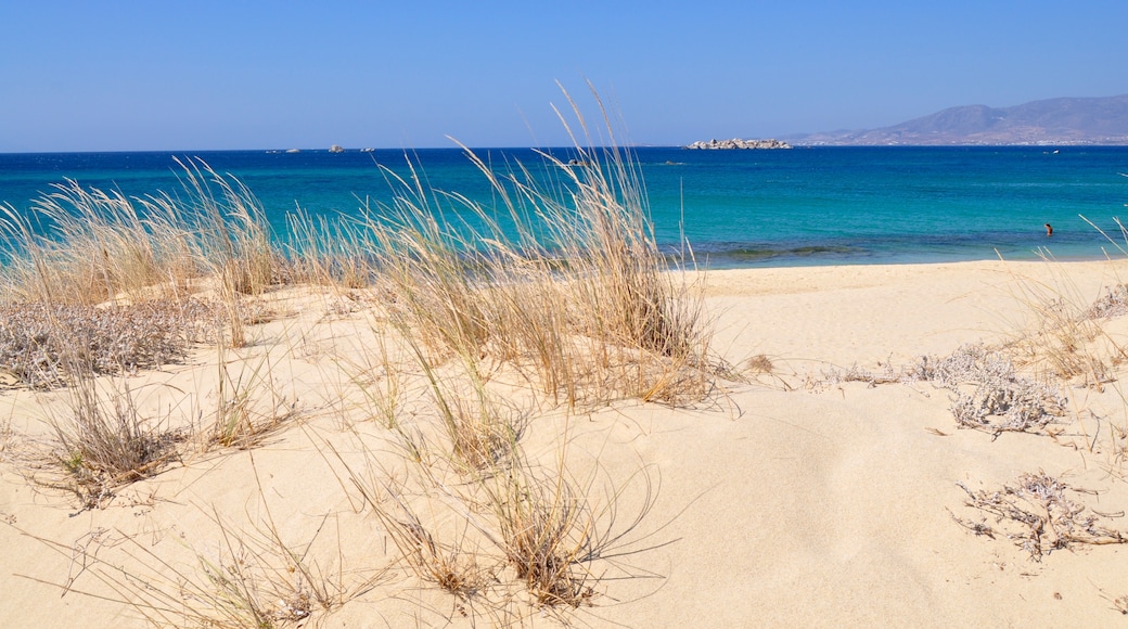 Naxos Town