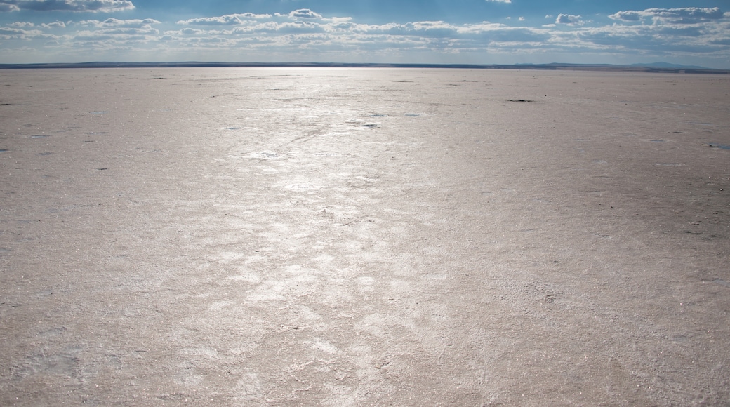 Tuz Gölü-zoutmeer