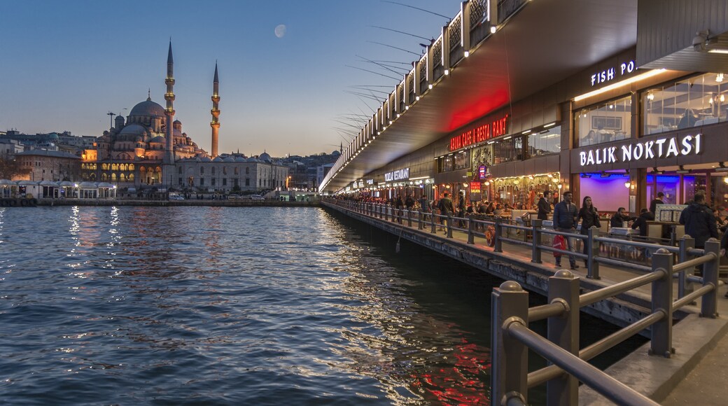 สะพาน Galata, Istanbul, ตุรเคีย