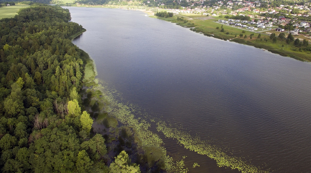 Condado de Viljandi