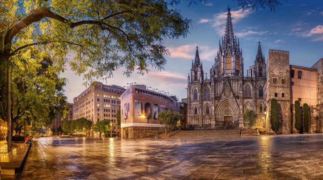 Barcelona Cathedral, Barcelona, Catalonia, Spain