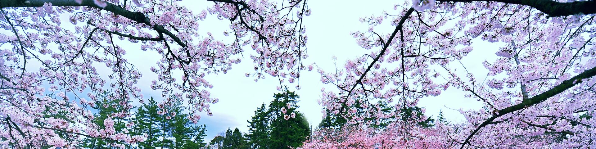 Nanto, Präfektur Toyama, Japan